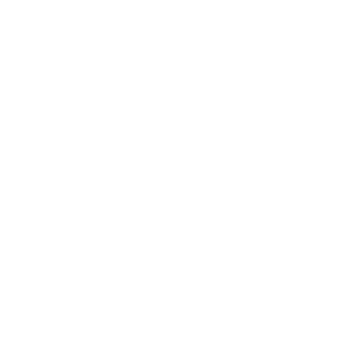 Developer Mode